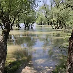 Szigetcsúcs Lakókocsi-vissza A Természetbe A Duna Parton Kemping