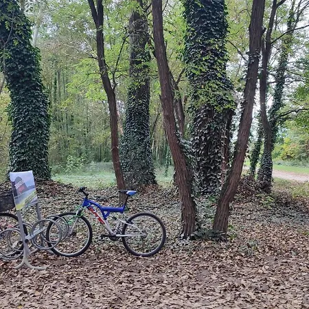 Campeggio Szigetcsúcs Lakókocsi-vissza A Természetbe A Duna Parton Kisoroszi