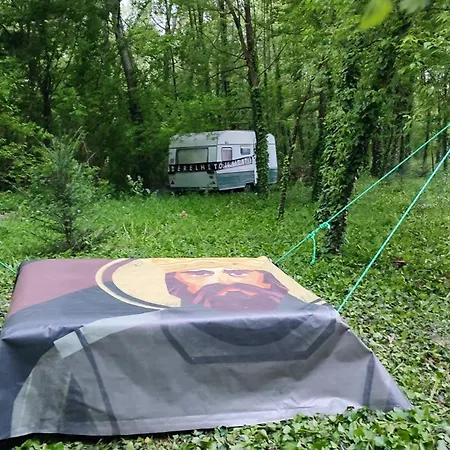 Kemp Szigetcsucs Lakokocsi-vissza A Termeszetbe A Duna Parton Kisoroszi